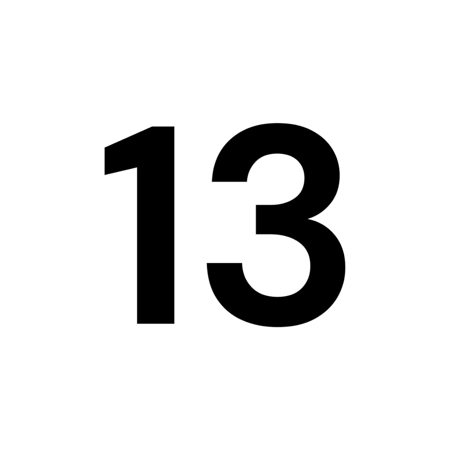 NUMERO 13