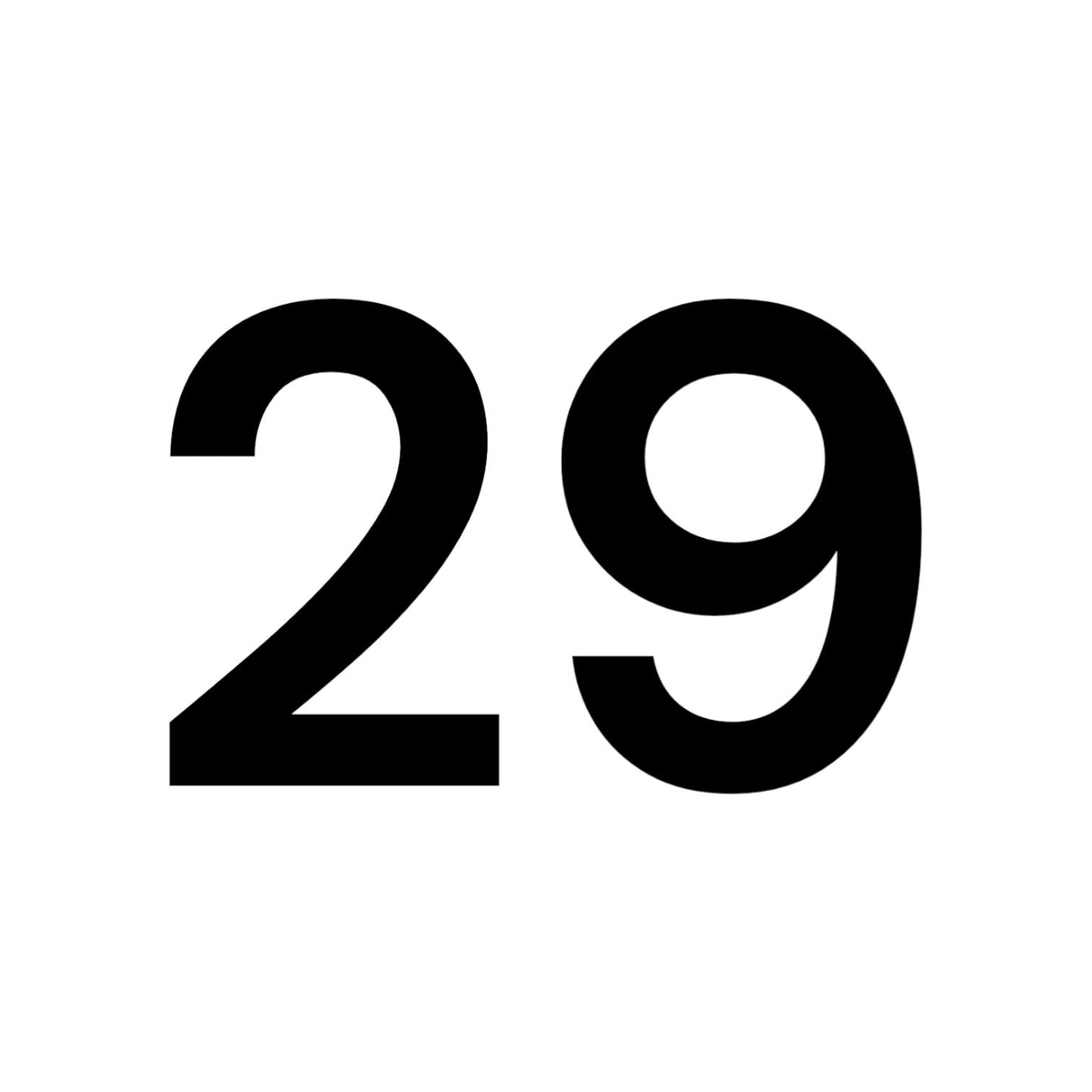 NUMERO 29