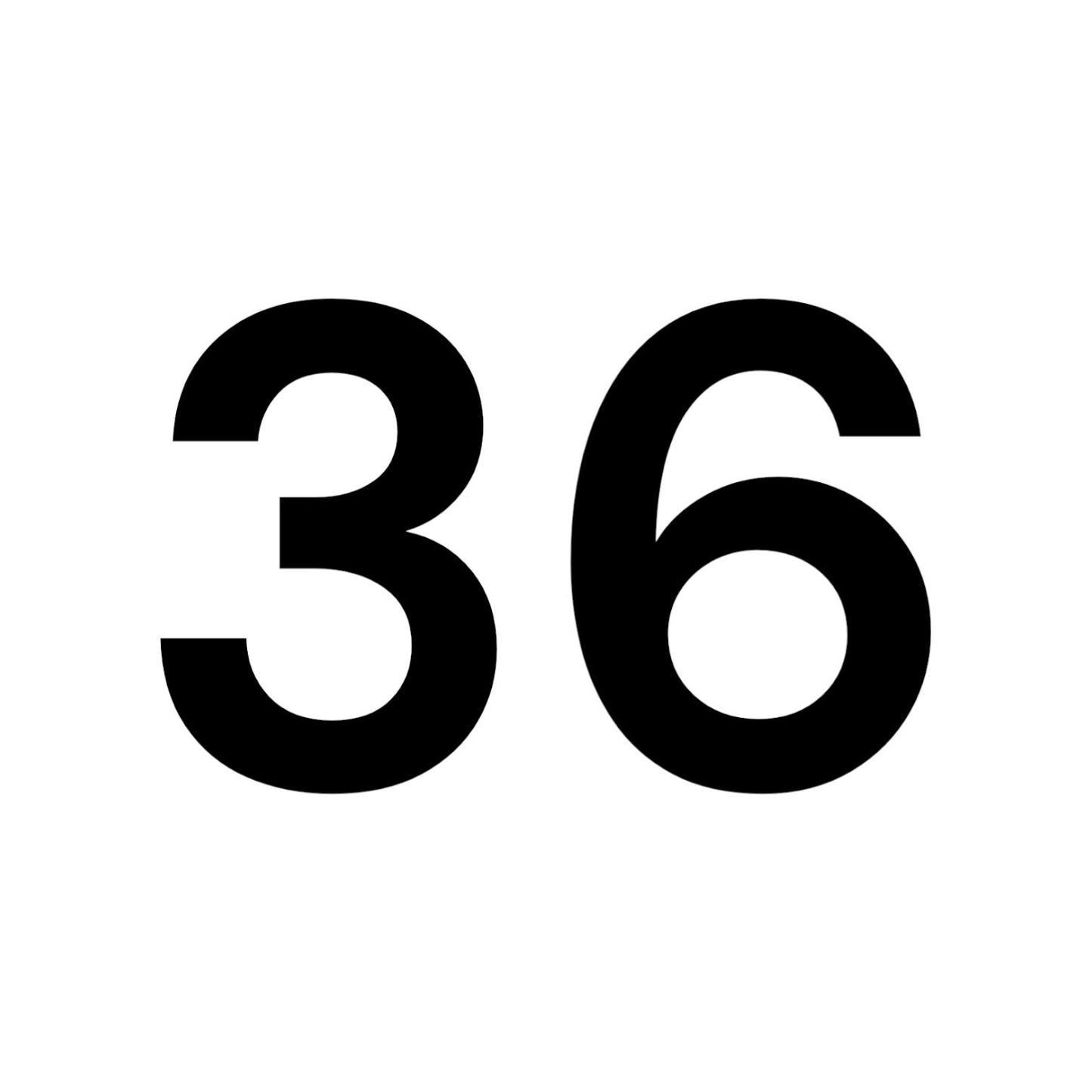 NUMERO 36