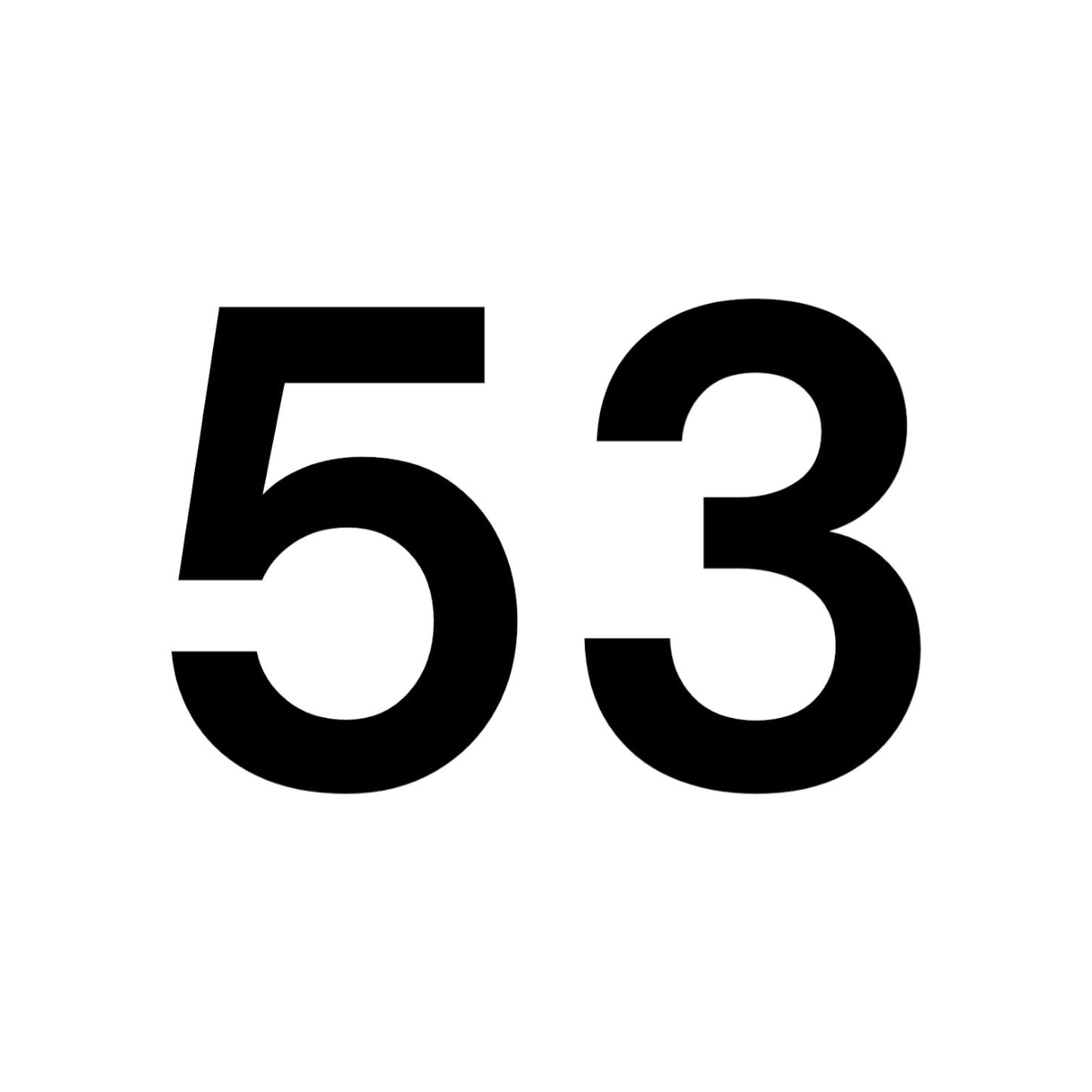 NUMERO 53