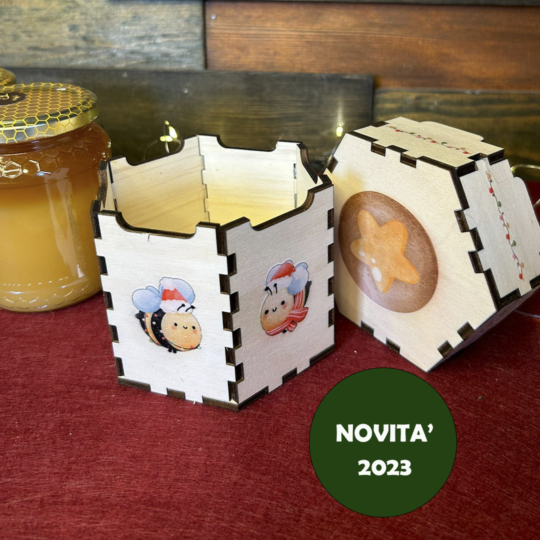 ElinorLab ™️ Esagonale di Natale
