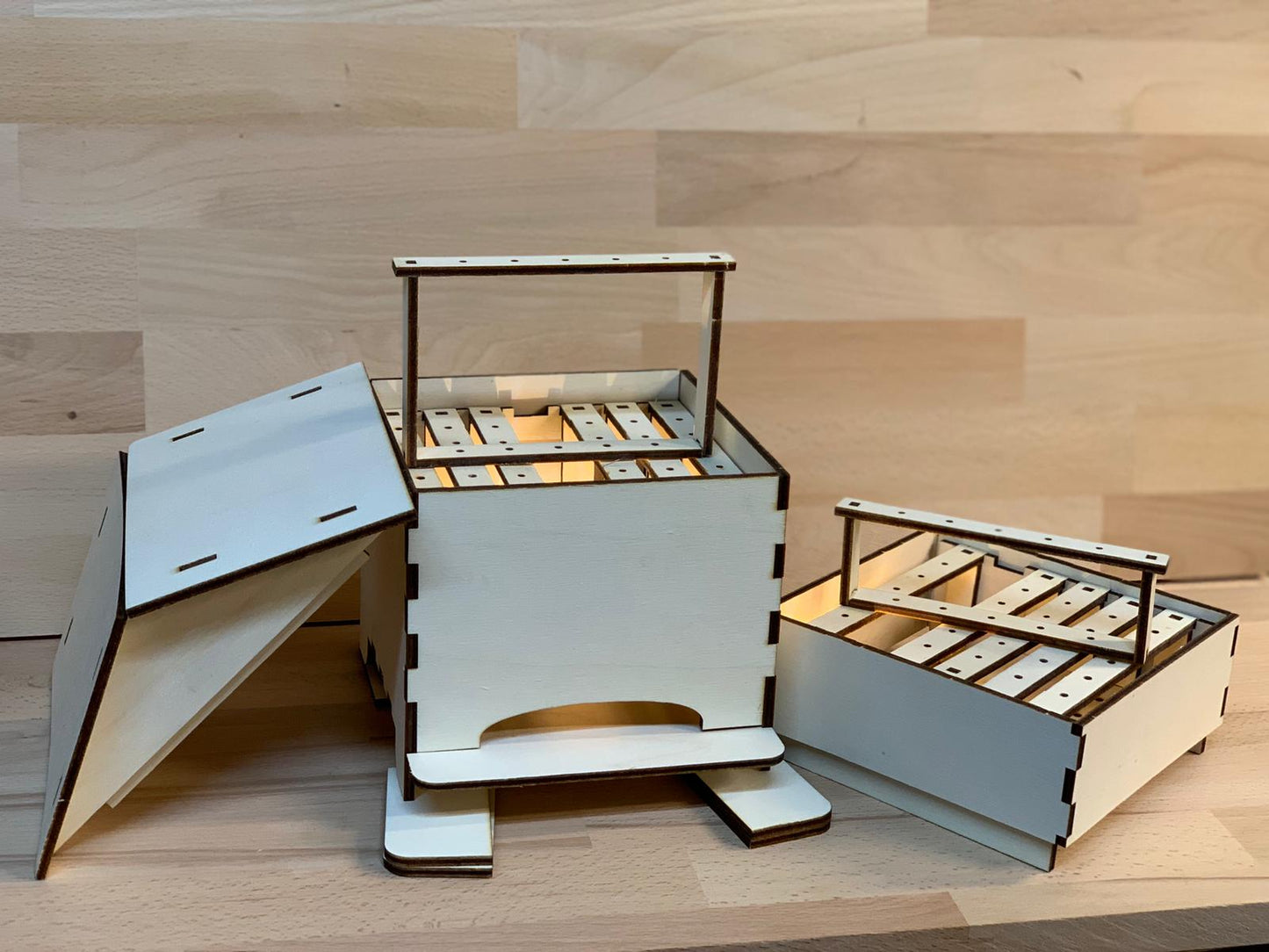 Elinorlab™ Arnia didattica in legno (modello allievo)