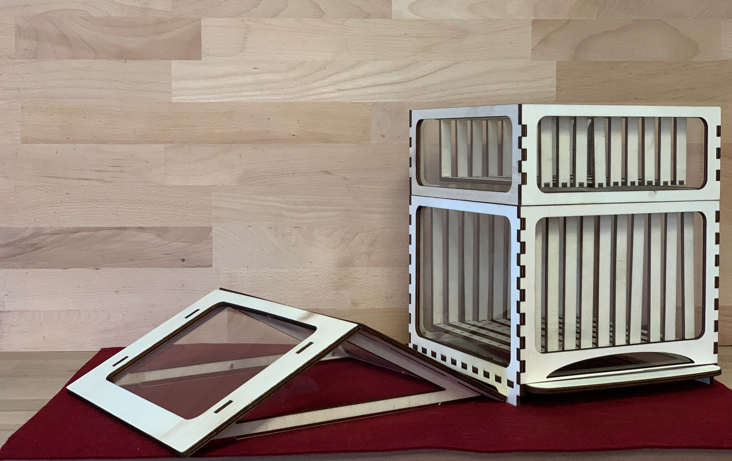 Elinorlab™ Arnia in Plexiglas e Legno per didattica (modello insegnante)