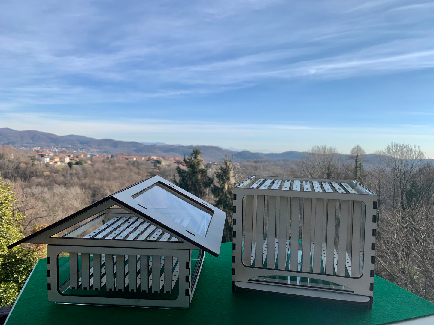 Elinorlab™ Arnia in Plexiglas e Legno per didattica (modello insegnante)