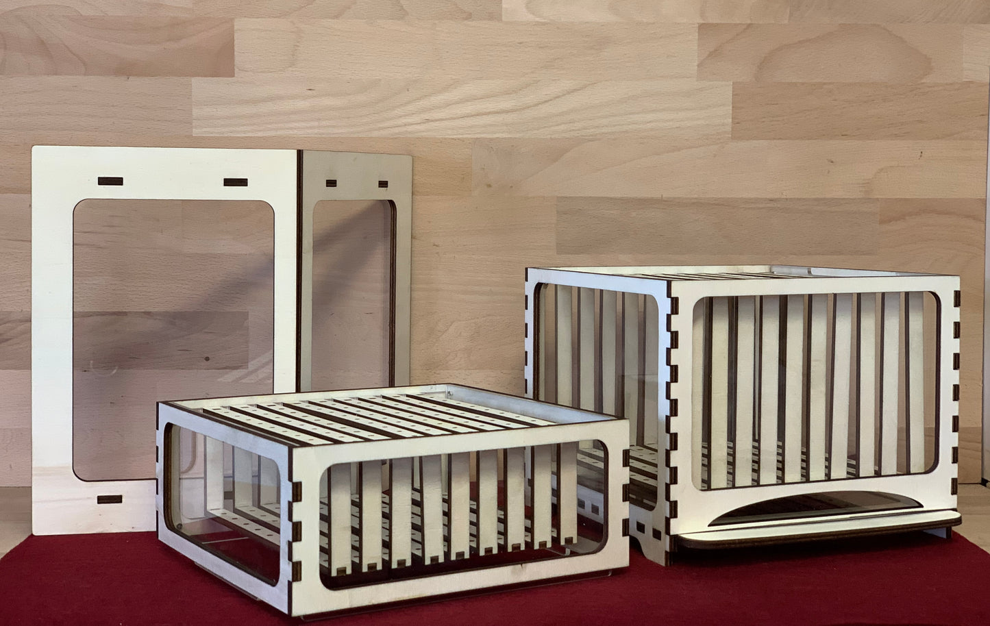 Elinorlab™ Arnia in Plexiglas e Legno per didattica (modello insegnante)
