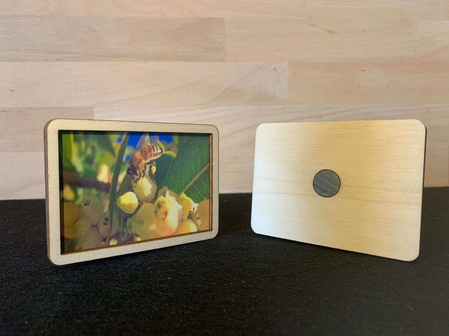 Elinorlab™ Magneti personalizzati