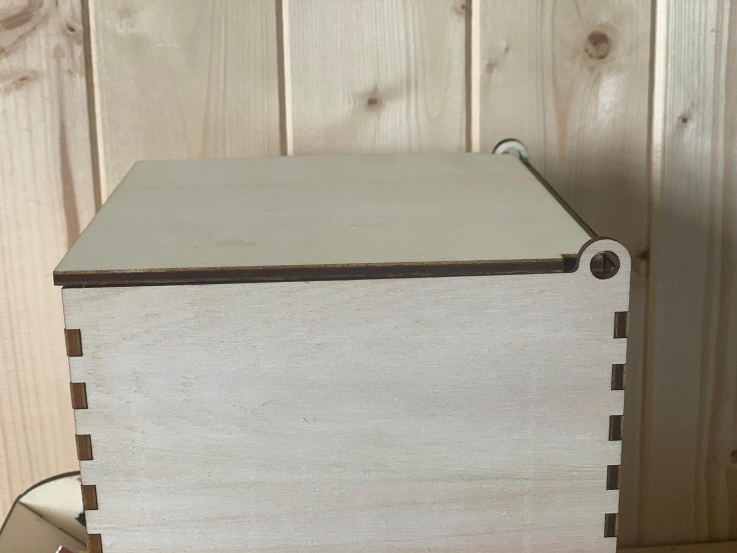 Elinorlab™ Mini espositore per caramelle