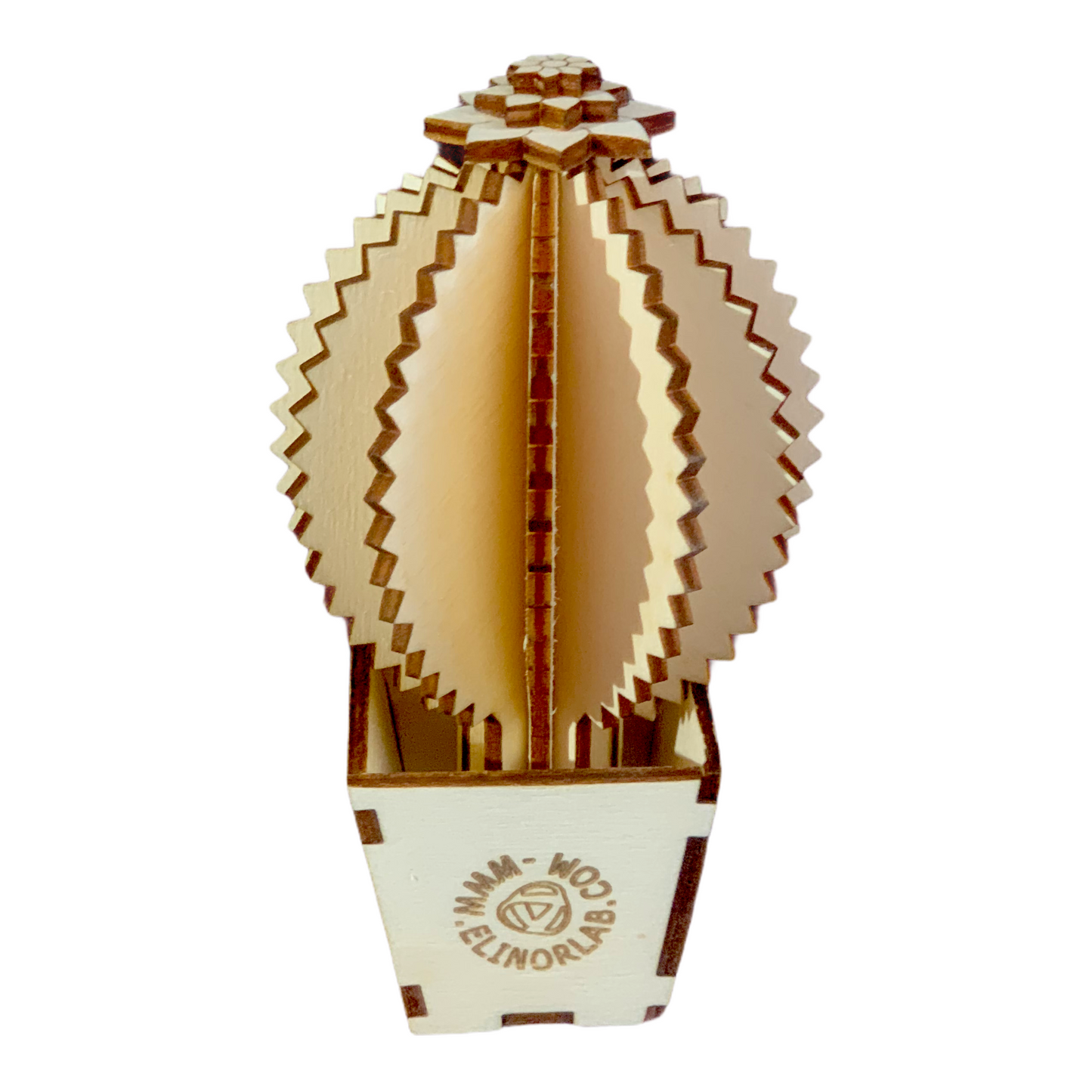 Elinorlab™ Mini cactus