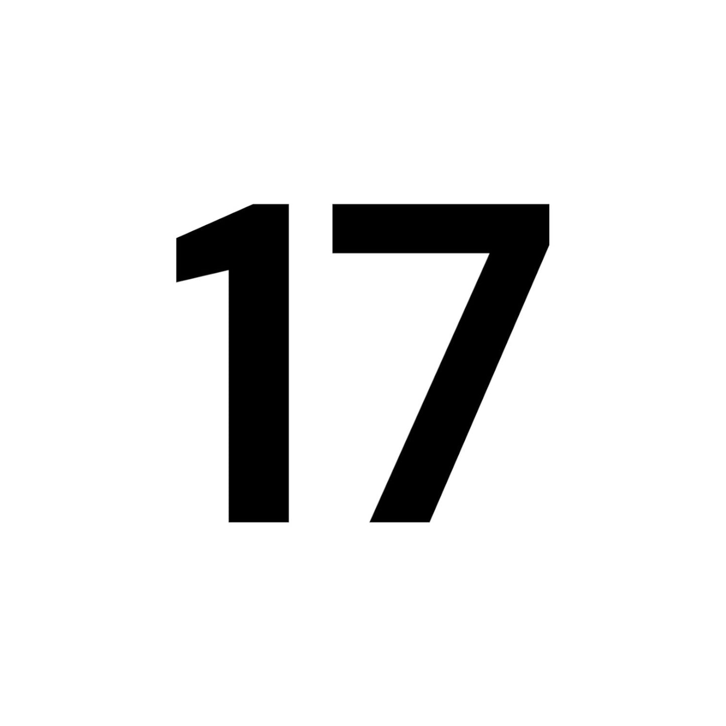 NUMERO 17
