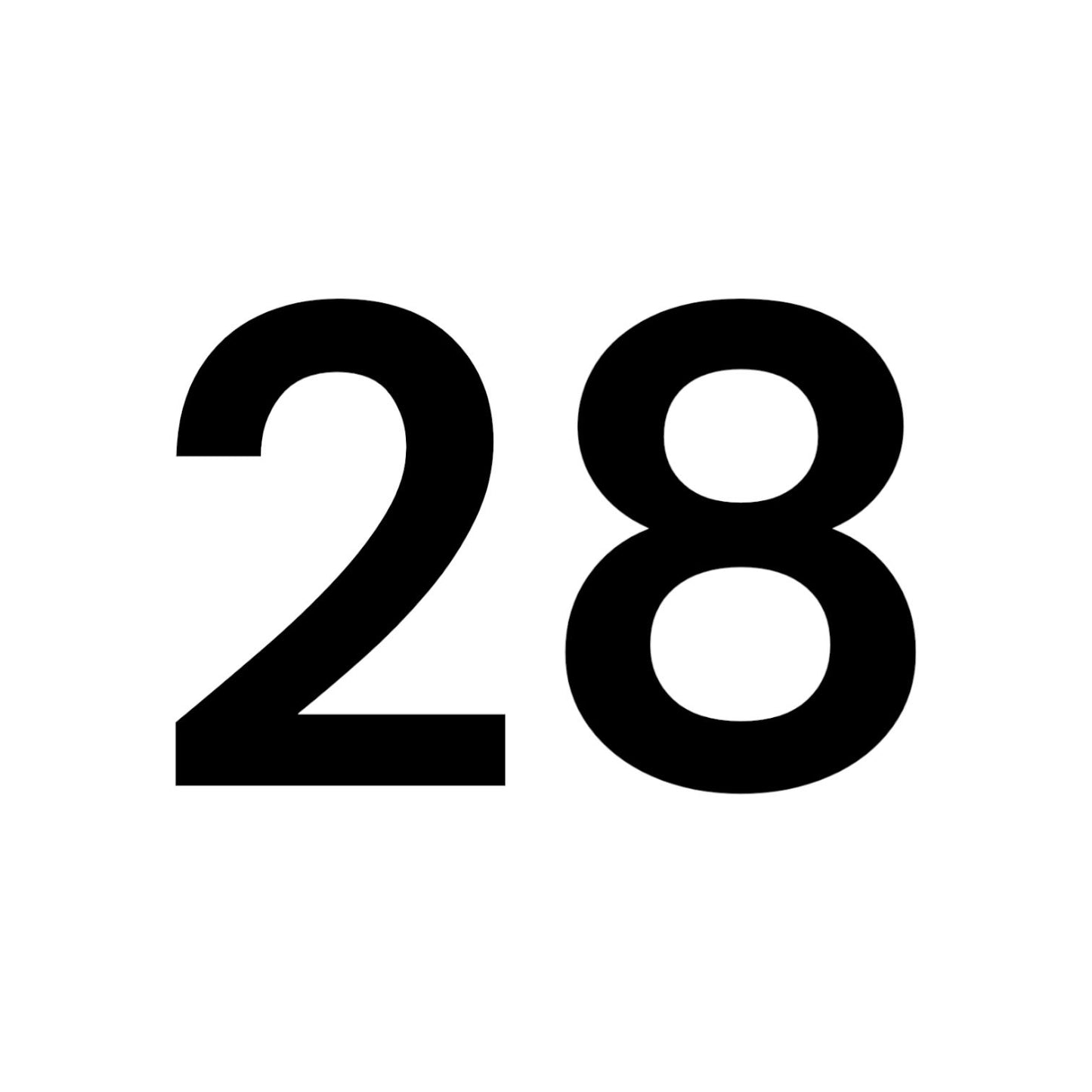 NUMERO 28
