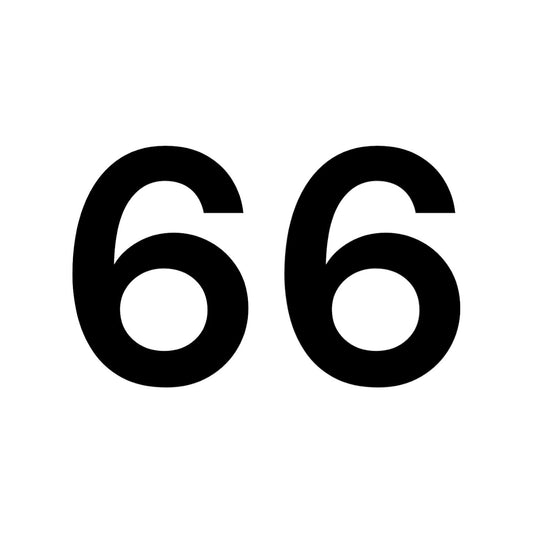 NUMERO 66
