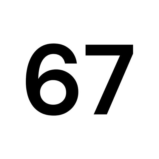 NUMERO 67