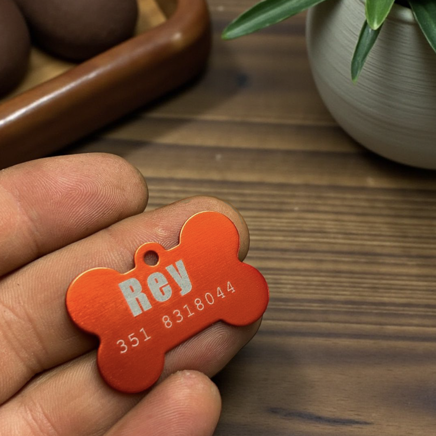 ElinorLab ™️ Medaglietta per cane