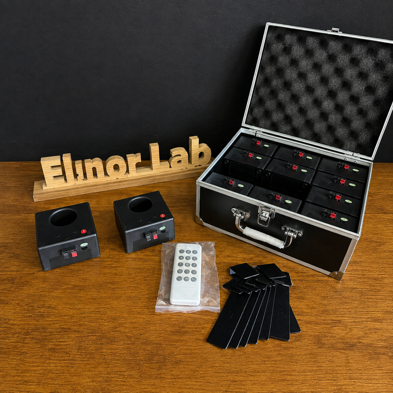 ElinorLab ™ VALIGETTA PER FONTANE E SMOKE BOMB